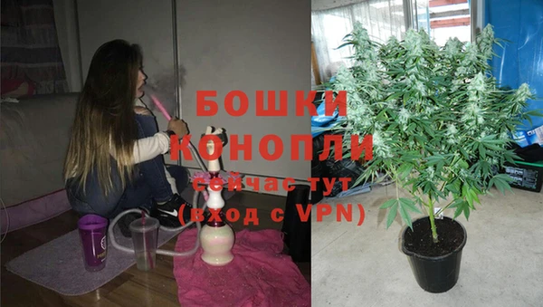 PSILOCYBIN Костерёво