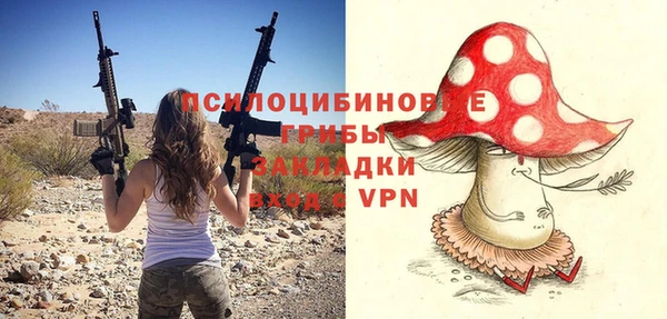 a pvp Корсаков