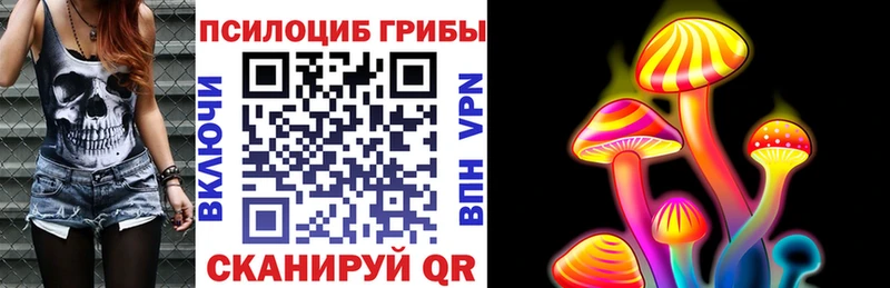 Псилоцибиновые грибы ЛСД Купить где Барыш